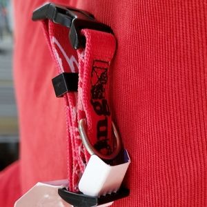 Brand New Detroit Red Wings dog collar xxsmall